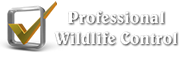 Wildlife Control and Removal Information